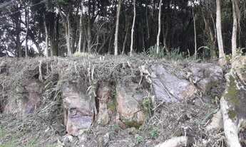 Imagem: LINDO TERRENO NO BAIRRO VILA OLINDA