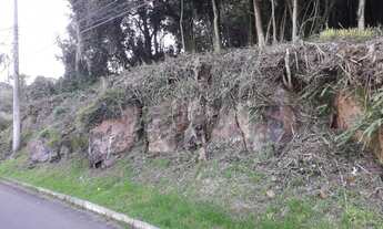 Imagem 4: LINDO TERRENO NO BAIRRO VILA OLINDA