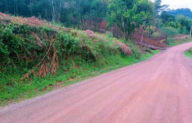 Imagem 4: TERRENOS AMPLOS E PLANOS EM REGIÃO TRANQUILA DO BAIRRO PIÁ!!!