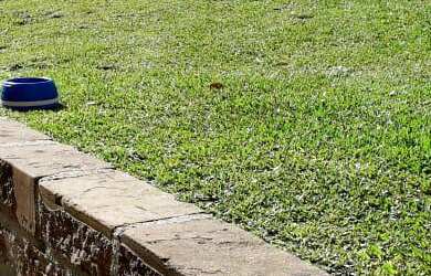 Imagem 5: LINDA CASA BEM LOCALIZADA NO BAIRRO PIÁ!