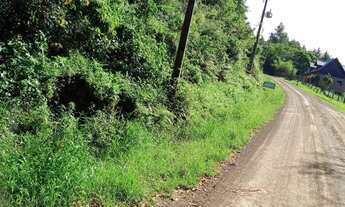 Imagem 4: LINDA ÁREA DE TERRA COM BELA VISTA EM PICADA CAFÉ!!