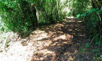 Imagem 5: LINDA ÁREA DE TERRA COM BELA VISTA EM PICADA CAFÉ!!