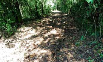 Imagem 6: LINDA ÁREA DE TERRA COM BELA VISTA EM PICADA CAFÉ!!