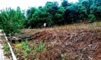 Imagem: LINDO LOTE DE TERRENOS, BAIRRO SÃO JOÃO