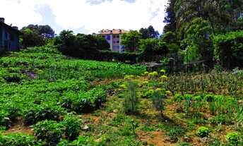 Imagem 3: LINDO TERRENO À 1 MIN DO CENTRO, BAIRRO LOGRADOURO!