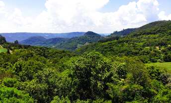 Imagem 3: LINDO SITIO A 800 METROS DO ASFALTO E APENAS 5,2 KM DA PRAÇA DAS FLORES!