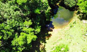 Imagem 5: LINDO SITIO A 800 METROS DO ASFALTO E APENAS 5,2 KM DA PRAÇA DAS FLORES!