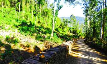 Imagem: LINDA ÁREA DE TERRA COM 2.1 HEC ( VALOR