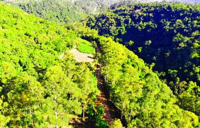Imagem 3: LINDA ÁREA DE TERRA COM 2.1 HEC ( VALOR ESPECIAL, ENTRE EM CONTATO). À 8 KM DO CENTRO DE N