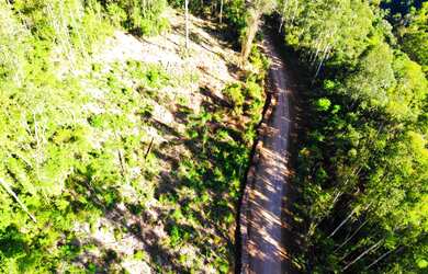 Imagem 5: LINDA ÁREA DE TERRA COM 2.1 HEC ( VALOR ESPECIAL, ENTRE EM CONTATO). À 8 KM DO CENTRO DE N