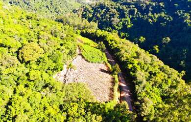 Imagem 7: LINDA ÁREA DE TERRA COM 2.1 HEC ( VALOR ESPECIAL, ENTRE EM CONTATO). À 8 KM DO CENTRO DE N