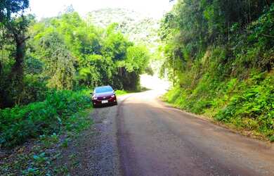 Imagem 2: 40 HECTARES COM 3 VARIEDADES DE EUCALIPTOS E UMA LINDA CASCATA