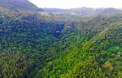 Imagem 5: 40 HECTARES COM 3 VARIEDADES DE EUCALIPTOS E UMA LINDA CASCATA