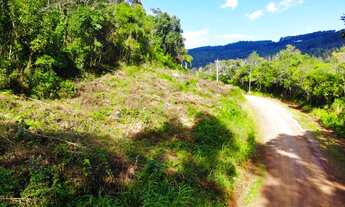 Imagem: 4 LOTES DE 3 HECTARES CADA COM MUITO POTENCIAL