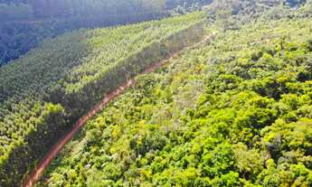 Imagem 2: 4 LOTES DE 3 HECTARES CADA COM MUITO POTENCIAL