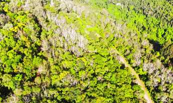 Imagem 3: 4 LOTES DE 3 HECTARES CADA COM MUITO POTENCIAL