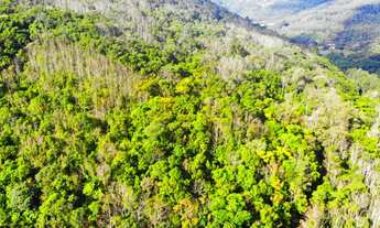 Imagem 4: 4 LOTES DE 3 HECTARES CADA COM MUITO POTENCIAL