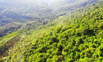 Imagem 5: 4 LOTES DE 3 HECTARES CADA COM MUITO POTENCIAL
