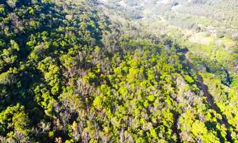 Imagem 6: 4 LOTES DE 3 HECTARES CADA COM MUITO POTENCIAL
