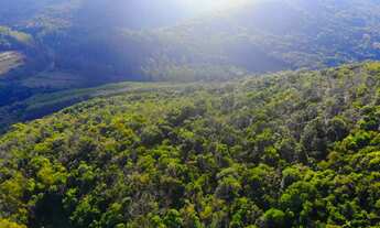 Imagem 7: 4 LOTES DE 3 HECTARES CADA COM MUITO POTENCIAL
