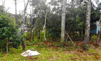 Imagem 2: DOIS TERRENOS LADO A LADO COM 1622 M² TOTAL!