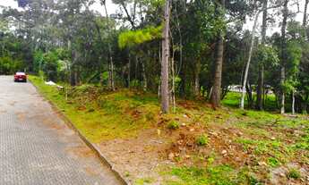 Imagem 3: DOIS TERRENOS LADO A LADO COM 1622 M² TOTAL!