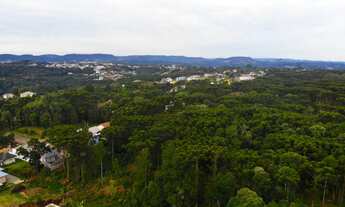 Imagem 7: DOIS TERRENOS LADO A LADO COM 1622 M² TOTAL!