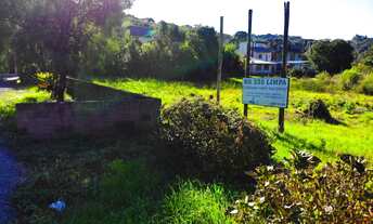 Imagem: OPORTUNIDADE, CASA COM 3 MORADIAS TODAS