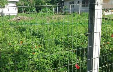 Imagem 4: TERRENO NO BAIRRRO FAFENDA PIRES