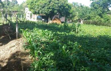 Imagem 3: TERRENO NO BAIRRO FAZENDA PIRES