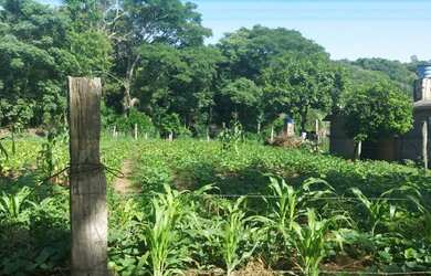 Imagem 5: TERRENO NO BAIRRO FAZENDA PIRES