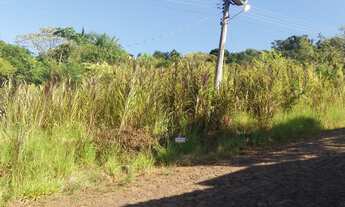 Imagem: TERRENOS NO BAIRRO ALTO GUARUJÁ