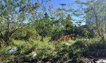 Imagem: TERRENO NO BAIRRO EMAMCIPAÇÃO (LOTEAMENTO