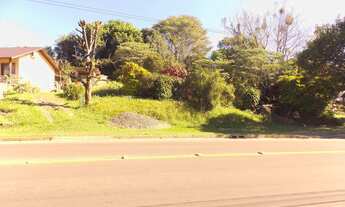 Imagem: TERRENO NO BAIRRO CENTRO