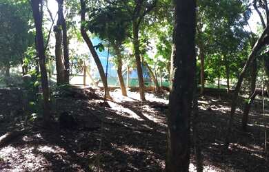 Imagem 7: CHÁCARA NO BAIRRO FAZENDA PIRES