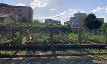 Imagem: Terreno Taquara Morro do Leôncio