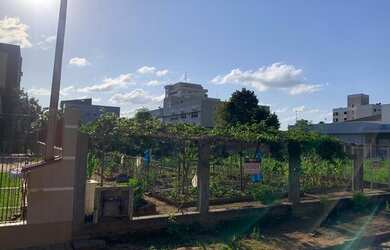 Imagem 3: Terreno Taquara Morro do Leôncio