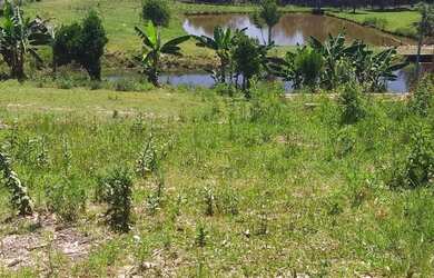 Imagem 2: Sítio com 3 Dormitorio(s) localizado(a) no bairro Açoita Cavalo em Rolante / Rio Grande d