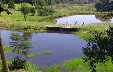 Imagem 5: Sítio com 3 Dormitorio(s) localizado(a) no bairro Açoita Cavalo em Rolante / Rio Grande d