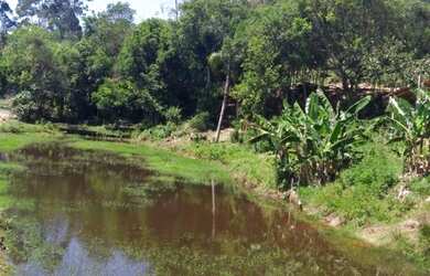 Imagem 7: Sítio com 3 Dormitorio(s) localizado(a) no bairro Açoita Cavalo em Rolante / Rio Grande d
