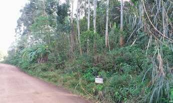 Imagem 3: Chácara Rolante Interior