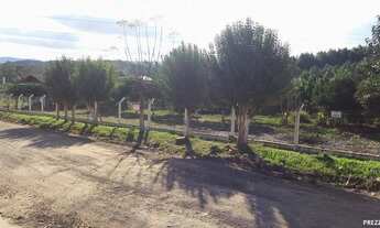 Imagem 2: Terreno Taquara Eldorado