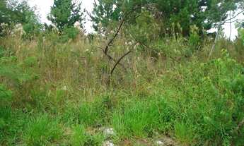 Imagem: Terreno Taquara Nossa Senhora de Fátima