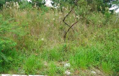 Imagem 5: Terreno Taquara Nossa Senhora de Fátima