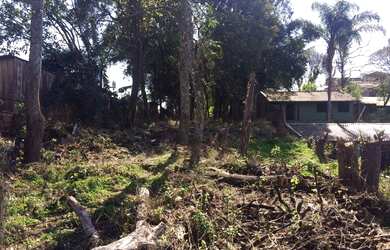 Imagem 4: TERRENO NO BAIRRO NOSSA SENHORA DE FÁTIMA
