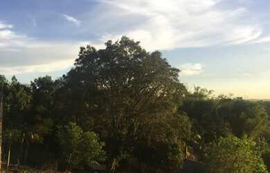 Imagem 5: Terreno Taquara Santa Rosa