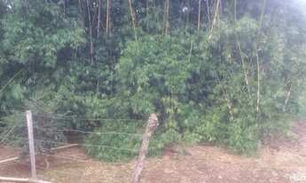 Imagem: Chácara Taquara Padilha