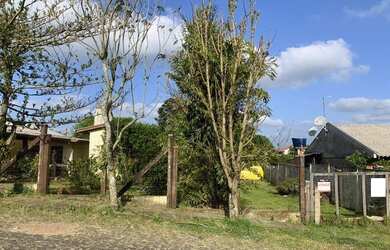 Imagem 2: Terreno Taquara Mundo Novo