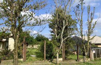 Imagem 3: Terreno Taquara Mundo Novo