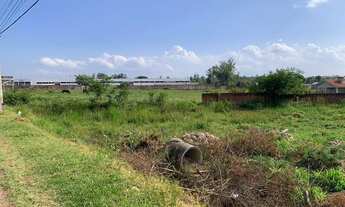 Imagem 3: Terreno Taquara Santa Maria